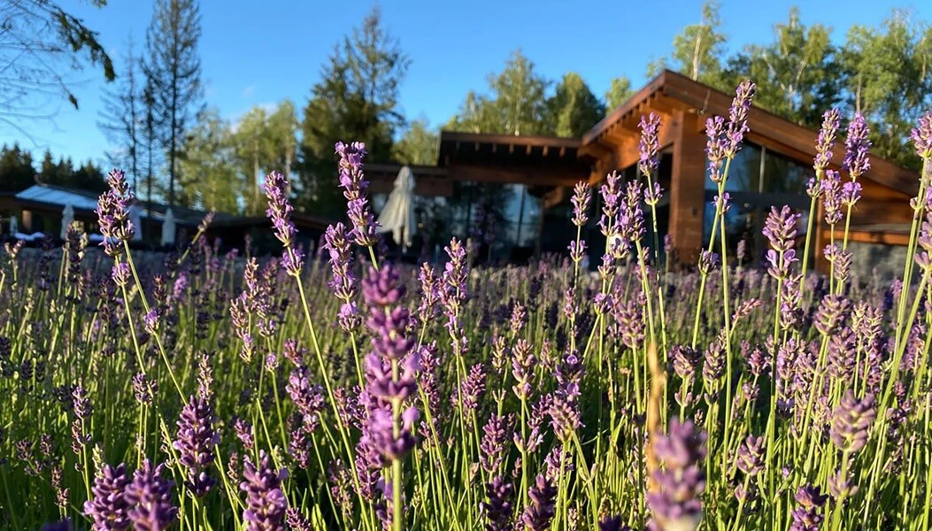 Раннее бронирование — 10%